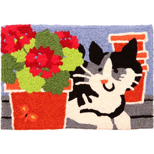 Kitty And Potted Geraniums